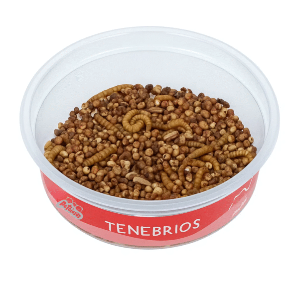 Tenebrios alimento vivo
