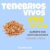 Tenebrios alimento vivo - Imagen 4