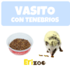 Tenebrios alimento vivo - Imagen 3