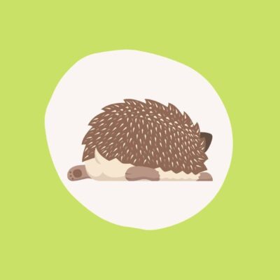 Servicios para Eribebés