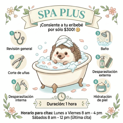 SPA PLUS para Eribebés