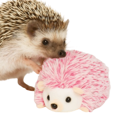 Peluche de erizo