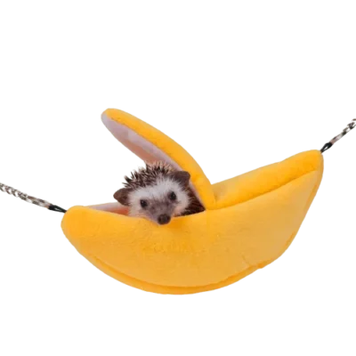 Refugio Banana Gigante para erizo