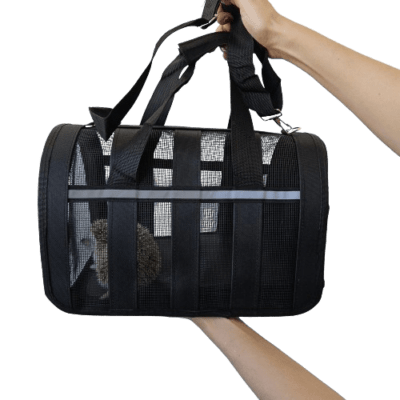 Mochila transportadora para erizo