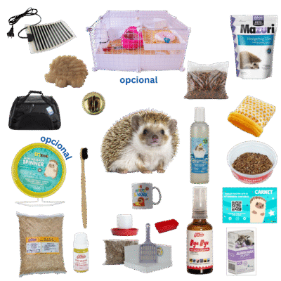 Paquete Eribebé + Kit Plus