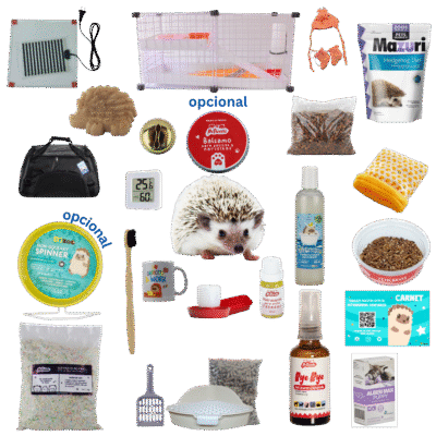 Paquete Eribebé + Kit Premium