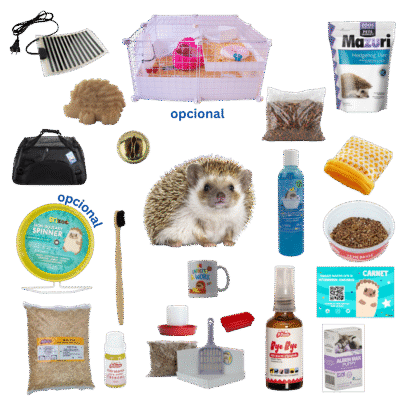 Paquete Eribebé + Kit Plus