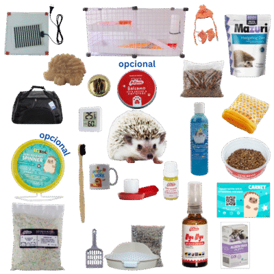 Paquete Eribebé + Kit Premium