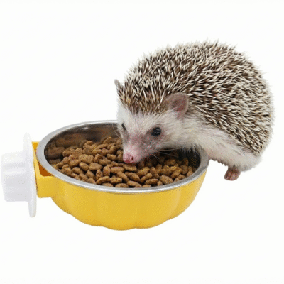 Comedero con soporte