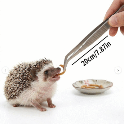 Pinzas de alimentacion